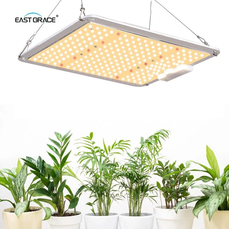 IP65 LED Grow Light Board